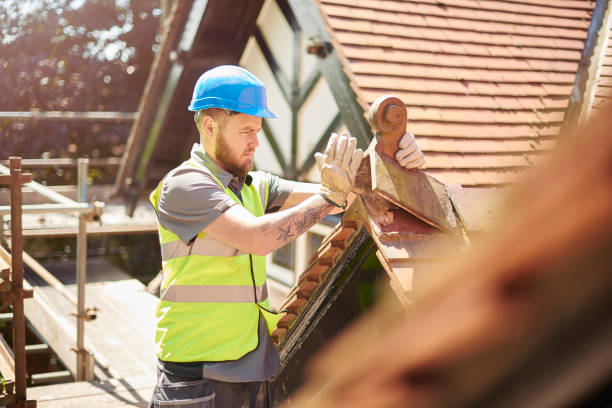 Best Residential Roofing Contractor  in Bottineau, ND