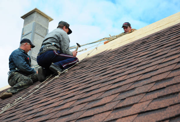 Roof Waterproofing Services in Bottineau, ND